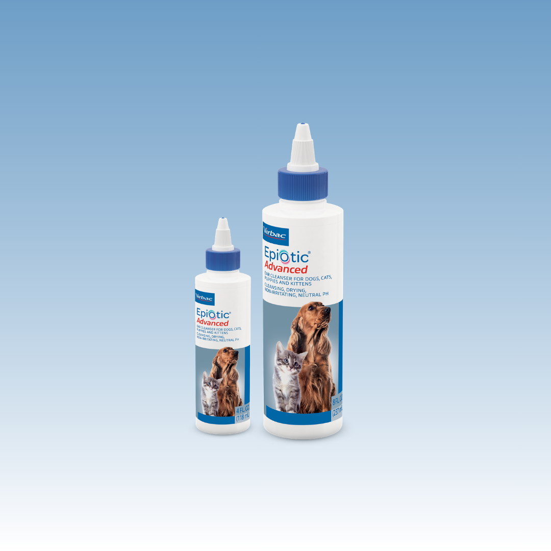 Epi-Otic Advanced Ear